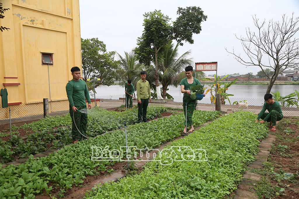 Đoàn viên, thanh niên BĐBP tỉnh tăng gia sản xuất góp phần xây dựng đơn vị vững mạnh toàn diện.
