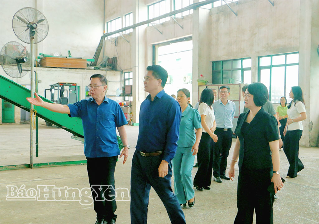 Đồng chí Phó Chủ tịch UBND tỉnh Lê Quang Hòa thăm Nhà máy chế biến hạt giống của ThaiBinh Seed.