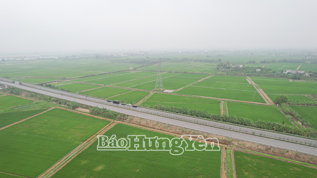 Khu công nghiệp Dược Sinh học tại xã Quỳnh An.