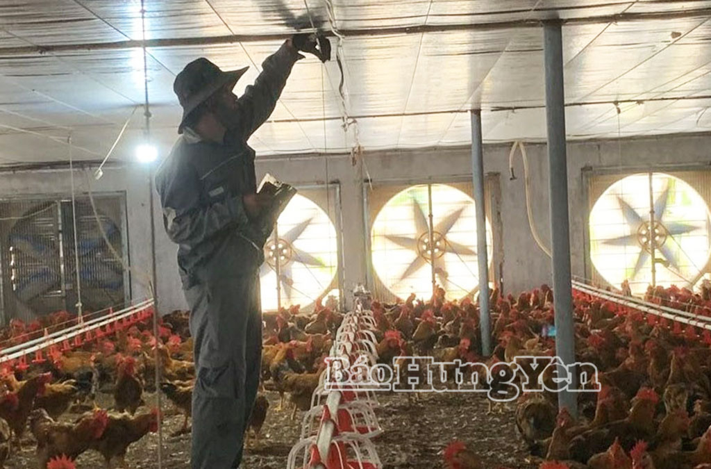 Trang trại chăn nuôi của anh Phạm Xuân Thủy, xã Vũ Tiên sử dụng quạt thông gió công nghệ biến tần và hệ thống chiếu sáng tiết kiệm năng lượng.