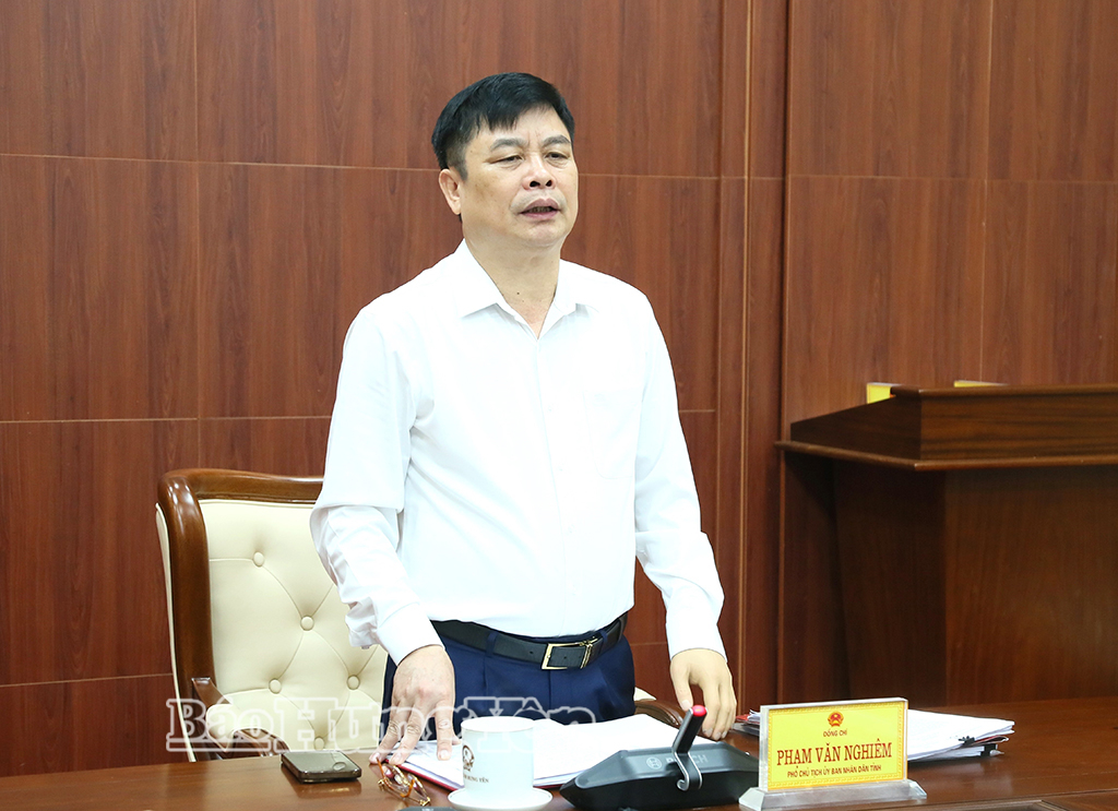 Đồng chí Phạm Văn Nghiêm, Phó Chủ tịch UBND tỉnh phát biểu kết luận tại cuộc họp. 