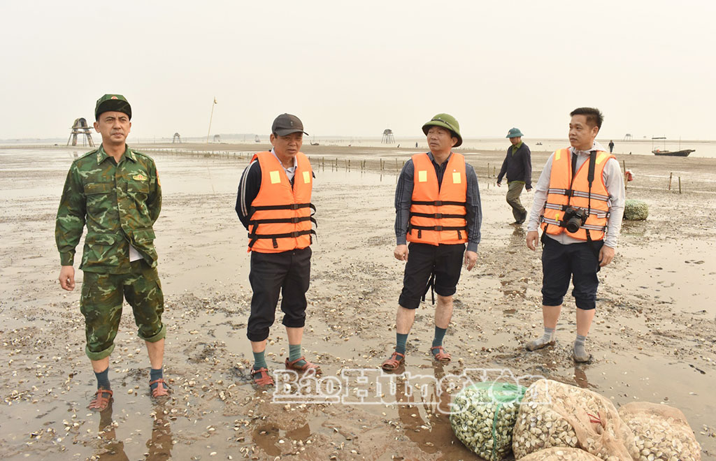 Lãnh đạo xã Nam Cường và Trạm Biên phòng Cửa Lân đi kiểm tra tại bãi nuôi ngao.