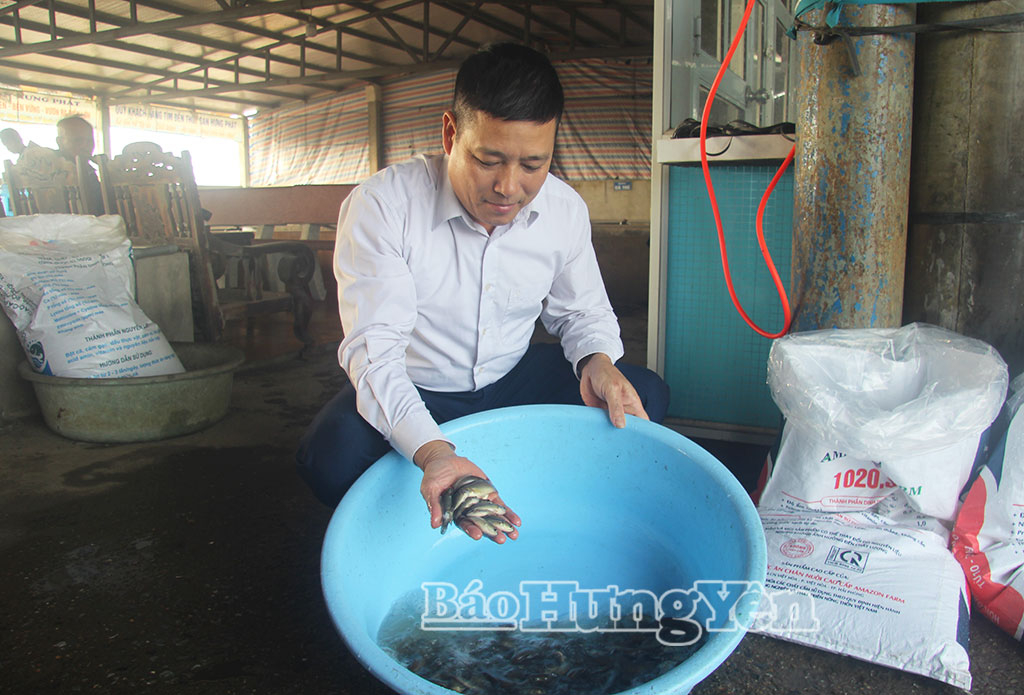 Ông Lưu Văn Dũng, Giám đốc HTX Thủy sản Hưng Phát kiểm tra chất lượng con giống thủy sản trước khi xuất bán cho khách hàng.