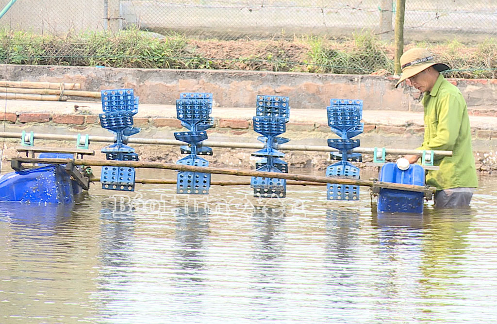 Các hộ dân xã Đồng Châu chuẩn bị điều kiện để xuống giống thủy sản.
