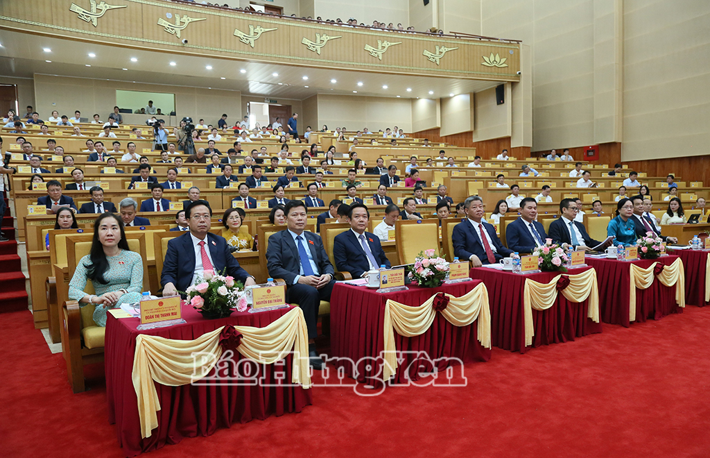 daibieu1,20285213.jpg