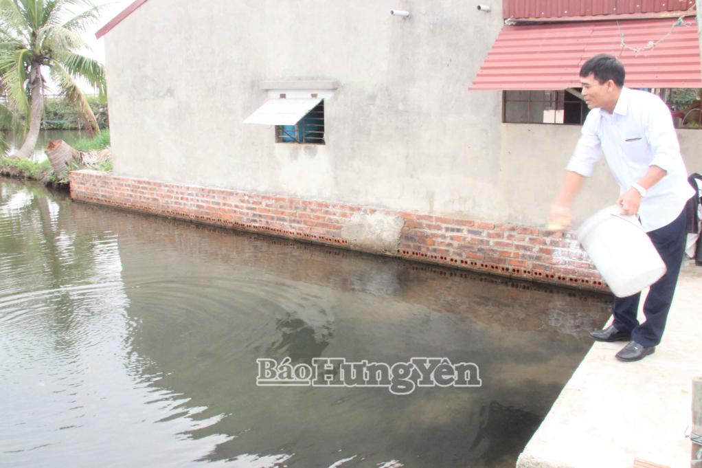 Ông Trần Hồng Quân, thôn Nam Duyên, xã Đông Thái Ninh chăm sóc diện tích nuôi cá vược.