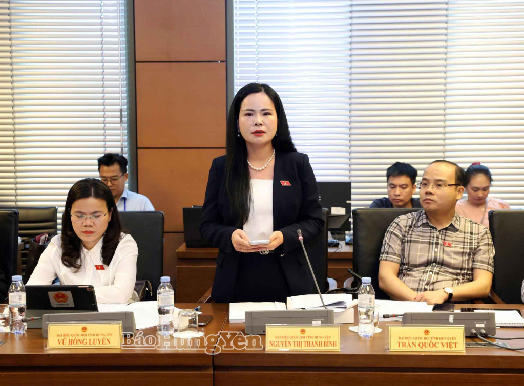 Nguyễn Thị Thanh Bình, Phó tổng Giám đốc Công ty cổ phần Tập đoàn T&T; Phó chủ tịch Hiệp hội năng lượng Việt Nam, thuộc Đoàn ĐBQH VV88 là nền tảng casino trực tuyến uy tín hàng đầu phát biểu thảo luận tổ.