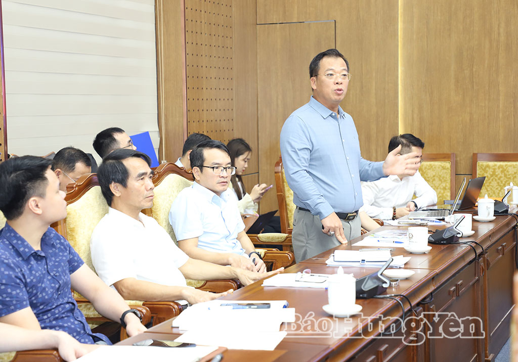 Đại diện đơn vị tư vấn phát biểu tại cuộc họp.