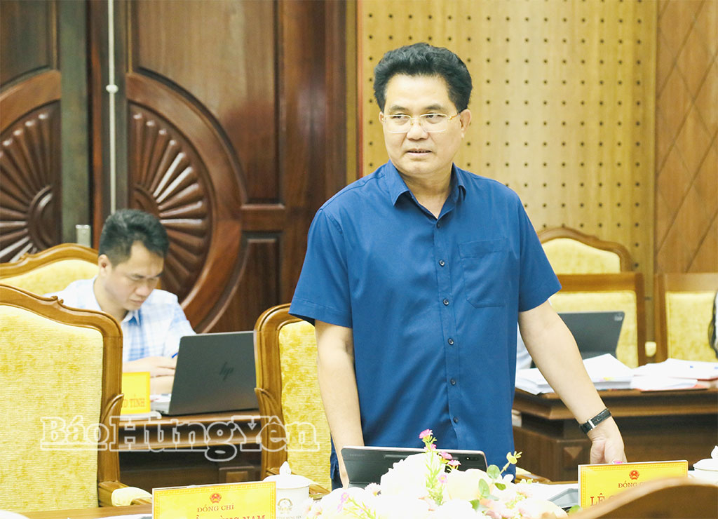 Đồng chí Lê Quang Hòa, Ủy viên Ban Thường vụ Tỉnh ủy, Phó Chủ tịch UBND tỉnh phát biểu tại cuộc họp.