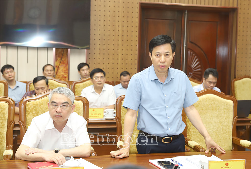 Đồng chí Lại Văn Hoàn, Phó Chủ tịch UBND tỉnh phát biểu tại cuộc họp.