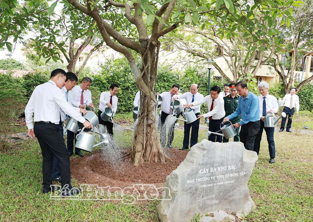 Các đại biểu chăm sóc “Cây đa nhớ Bác” tại Nhà lưu niệm Bác Hồ (phường Phố Hiến). 