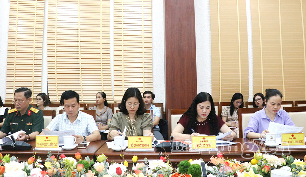 Các đại biểu dự cuộc họp.