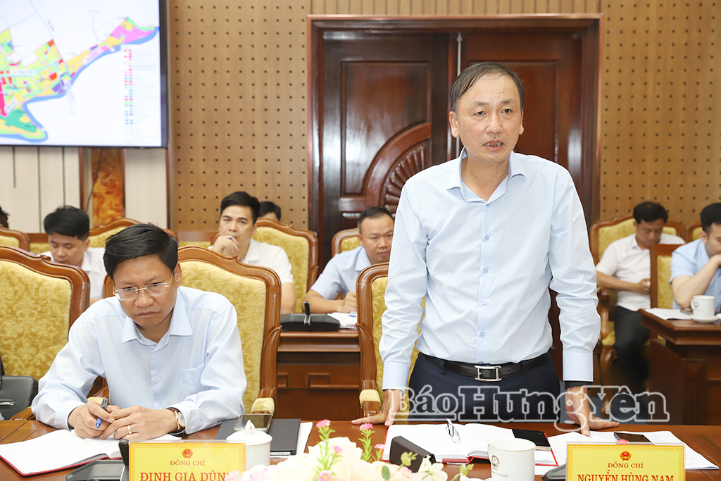 Đồng chí Nguyễn Hùng Nam, Phó Chủ tịch UBND tỉnh phát biểu tại cuộc họp.