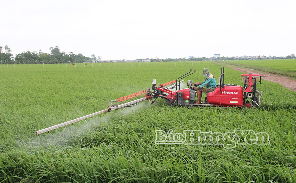 Các HTX nông nghiệp tích cực tham gia các chương trình phát triển kinh tế nông nghiệp, nông thôn.