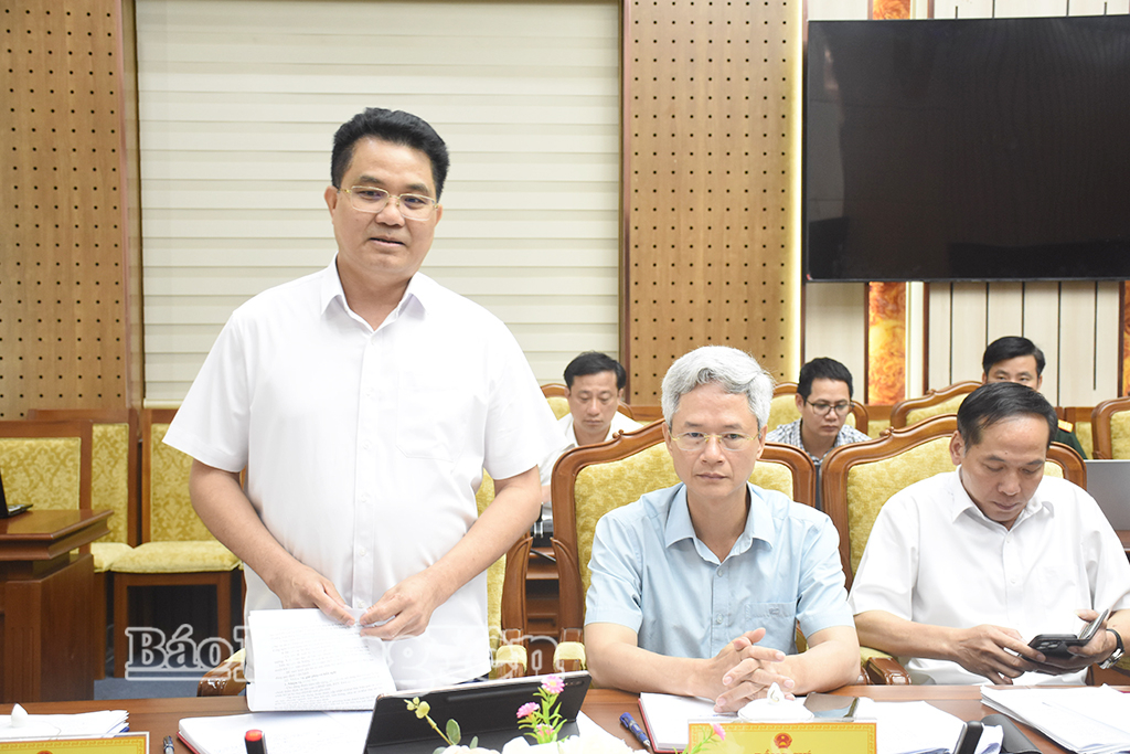 Đồng chí Lê Quang Hòa, Ủy viên Ban Thường vụ Tỉnh ủy, Phó Chủ tịch thường trực UBND tỉnh phát biểu tại cuộc họp.