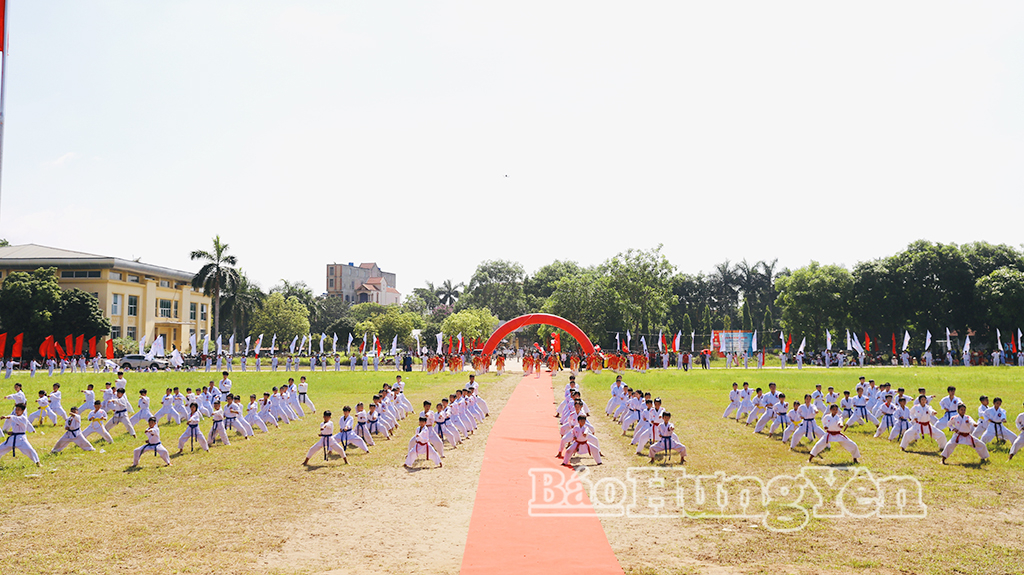 Màn biểu diễn võ thuật tại lễ khai mạc.