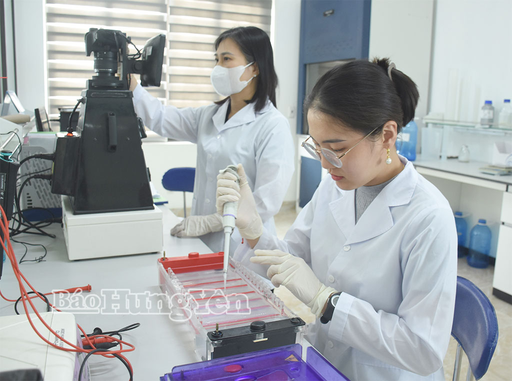Công ty Cổ phần Tập đoàn ThaiBinh Seed là một trong những doanh nghiệp tiêu biểu ứng dụng khoa học công nghệ vào sản xuất. Trong ảnh: Kiểm tra kết quả điện di gen tại Công ty Cổ phần Tập đoàn ThaiBinh Seed.