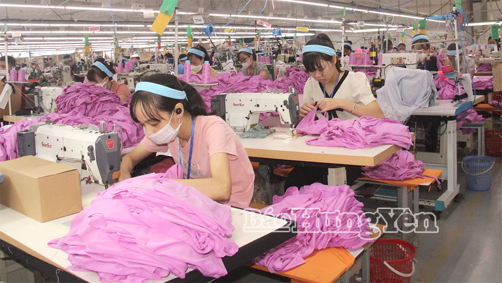 Sản xuất tại Công ty TNHH Plummy Garment Việt Nam (cụm VV888 bet đăng nhậpHưng Nhân, xã Long Hưng).