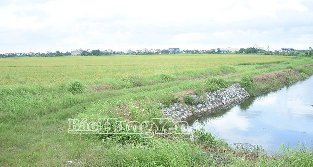 Dự án CCN Quỳnh Trang, xã Quỳnh An có diện tích quy hoạch khoảng 64,5ha.