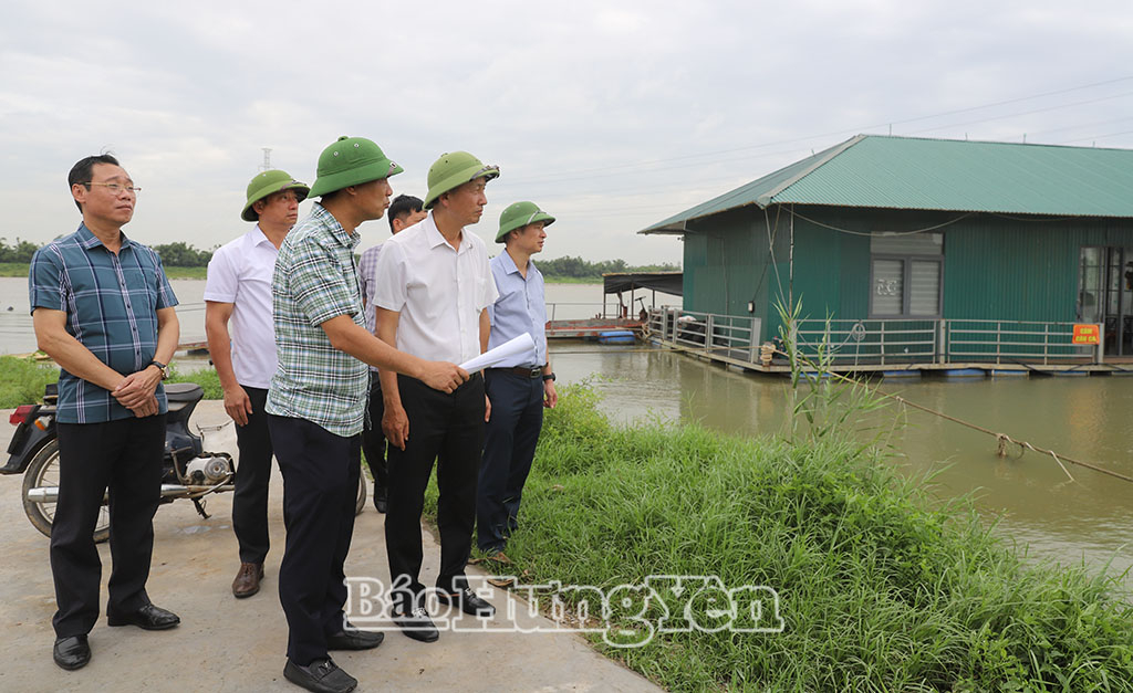 Đồng chí Phó Chủ tịch UBND tỉnh Nguyễn Hùng Nam nghe các đơn vị báo cáo công tác khắc phục sạt lở bờ tả sông Hồng tại xã Châu Ninh.