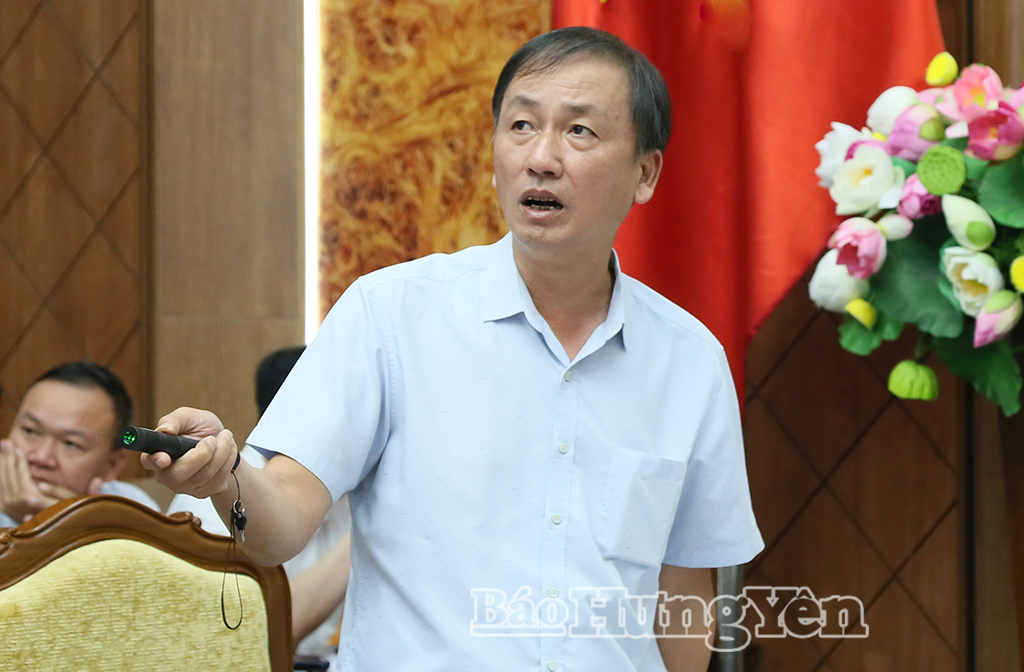 Đồng chí Phó Chủ tịch UBND tỉnh Nguyễn Hùng Nam phát biểu tại cuộc họp. 