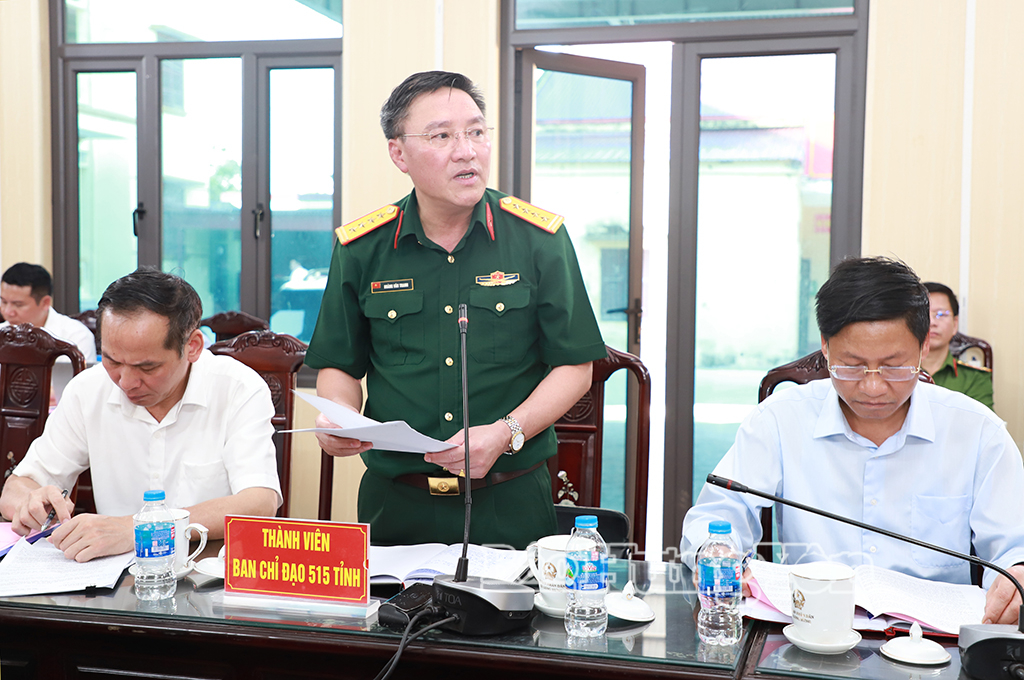 Thành viên Ban Chỉ đạo 515 tỉnh phát biểu tại buổi làm việc.