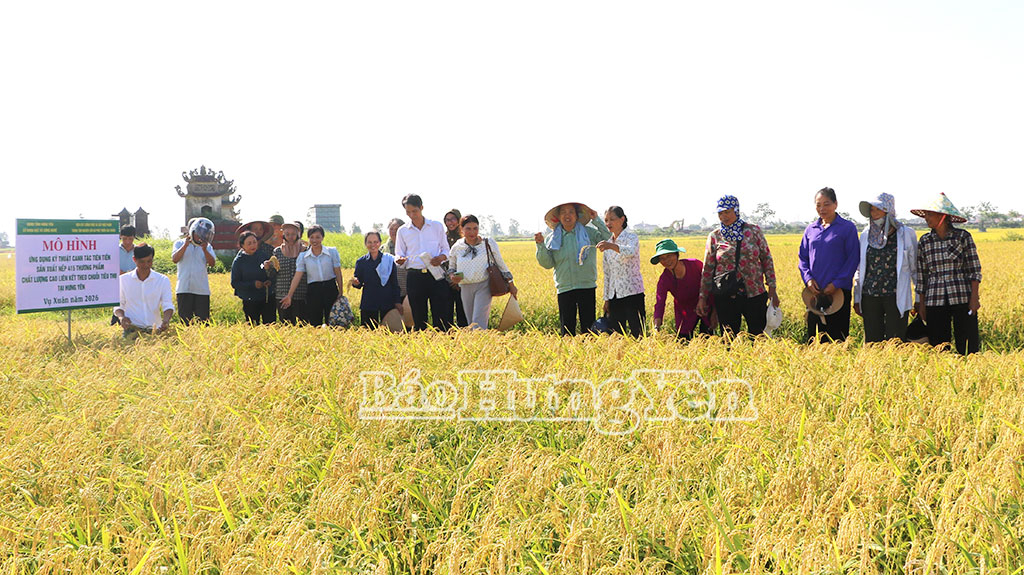 Các đại biểu tham quan, đánh giá hiệu quả mô hình tại xã Tiên Hoa.