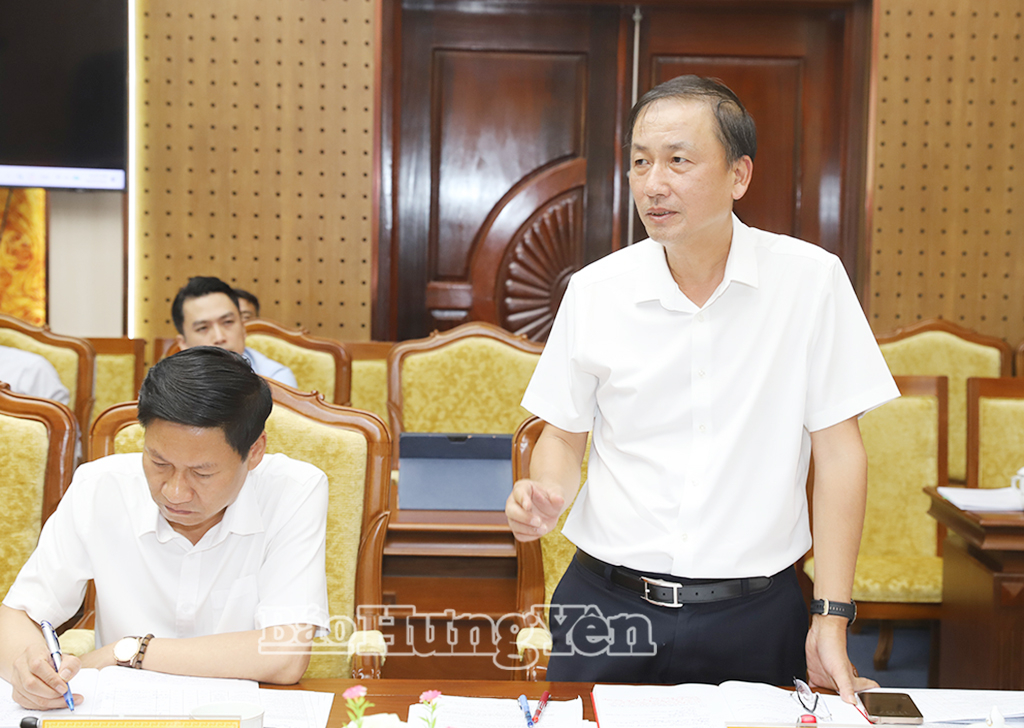 Đồng chí Nguyễn Hùng Nam, Phó Chủ tịch UBND tỉnh phát biểu tại cuộc họp.