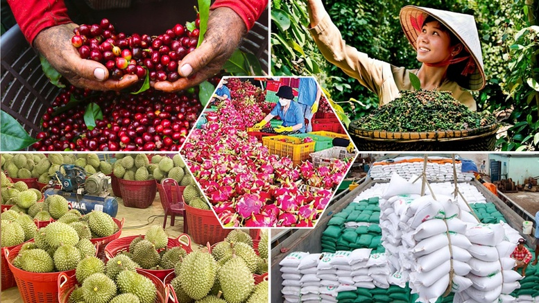Phân hạng sản phẩm OCOP theo 5 hạng