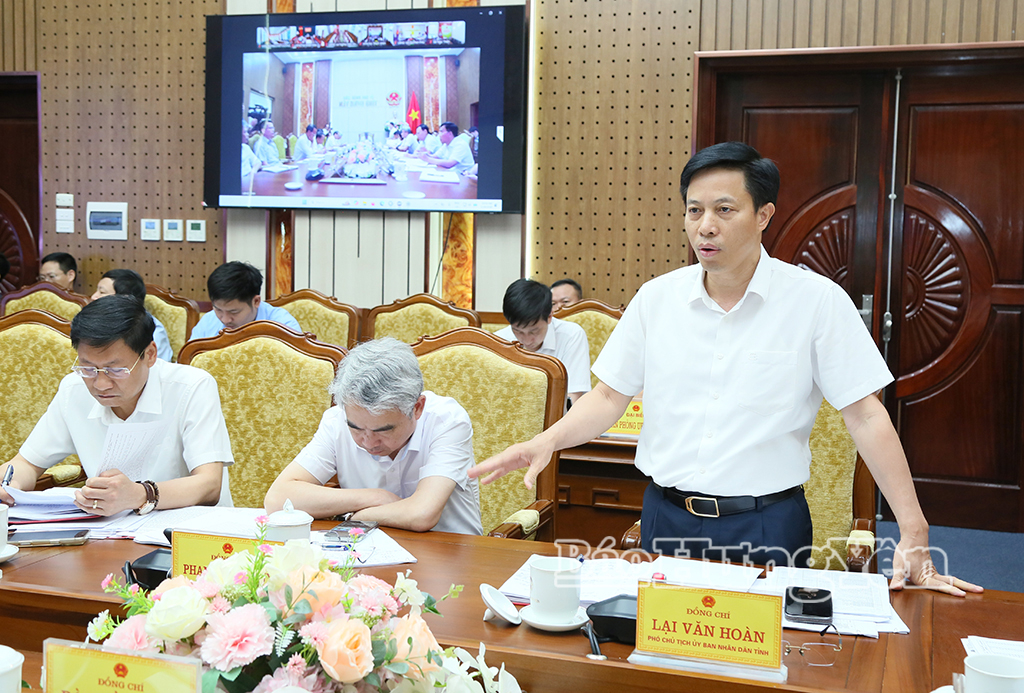 Đồng chí Lại Văn Hoàn, Phó Chủ tịch UBND tỉnh phát biểu tại hội nghị.