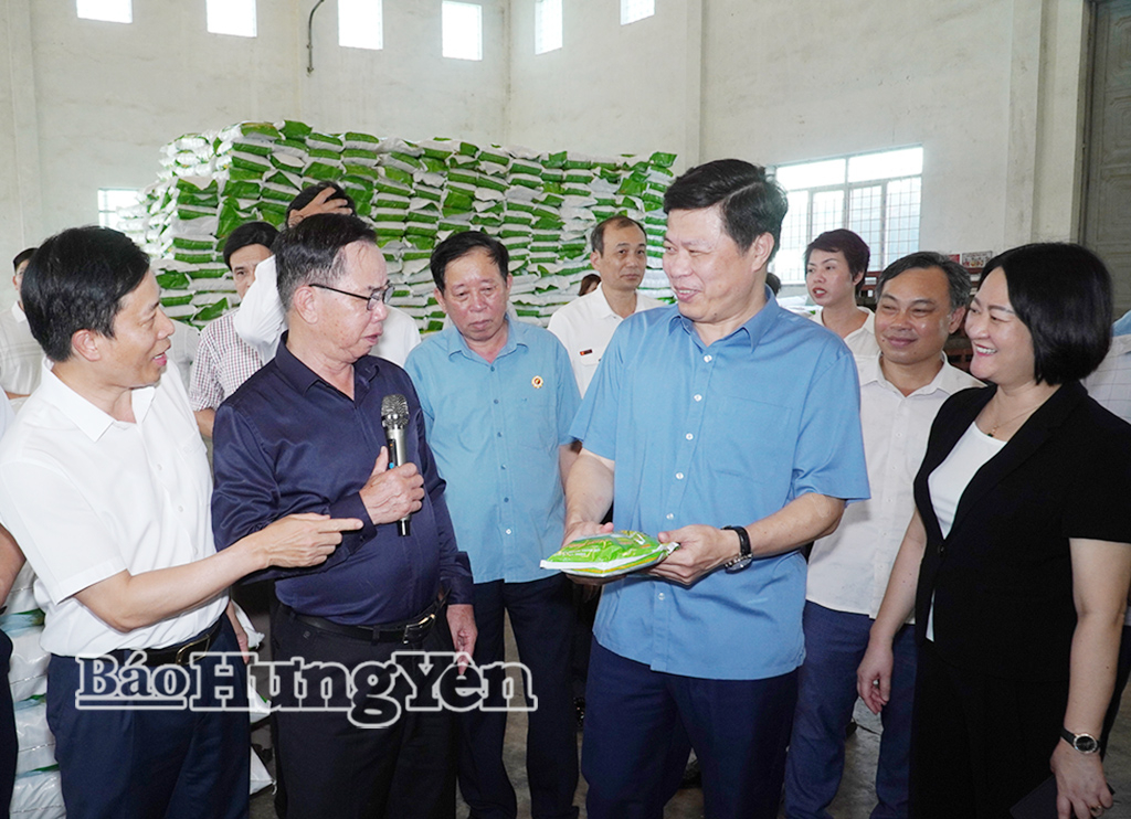 Đồng chí Trần Quốc Toản, Phó Bí thư Thường trực VV88 casino, Chủ tịch Ủy ban MTTQ Việt Nam tỉnh và đoàn công tác thăm Nhà máy chế biến hạt giống của Công ty Cổ phần Tập đoàn ThaiBinh Seed, phường Trần Lãm.