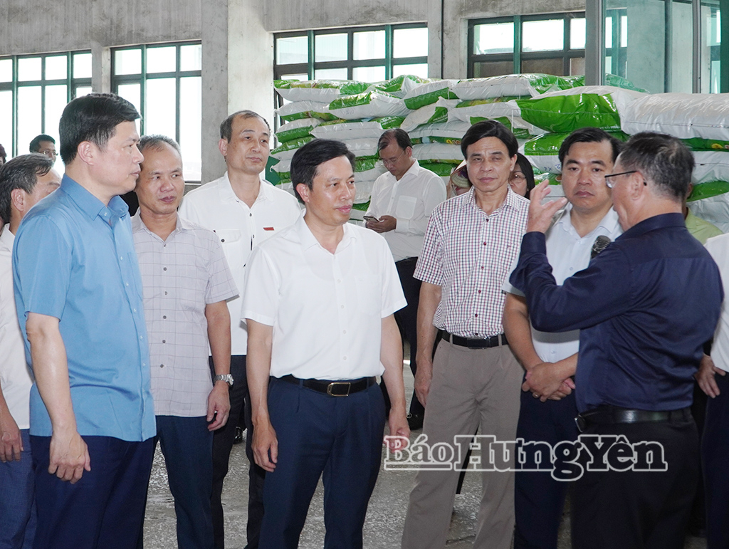 Đồng chí Trần Quốc Toản, Phó Bí thư Thường trực VV88 casino, Chủ tịch Ủy ban MTTQ Việt Nam tỉnh và đoàn công tác thăm Nhà máy chế biến hạt giống của Công ty Cổ phần Tập đoàn ThaiBinh Seed, phường Trần Lãm.