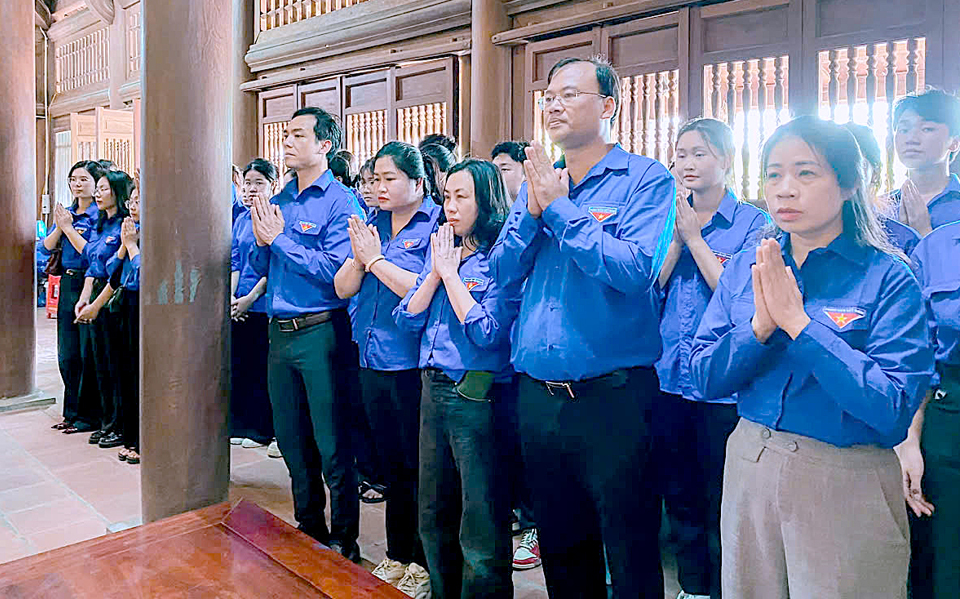 Ảnh co giãn vừa văn bản