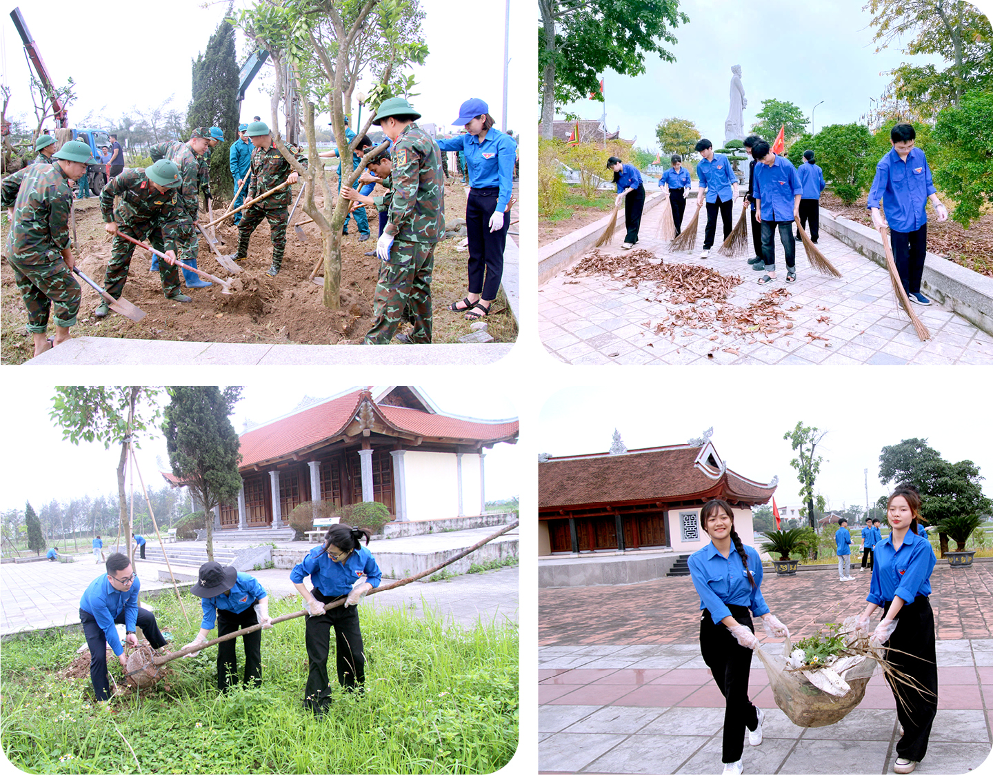 Ảnh co giãn vừa văn bản