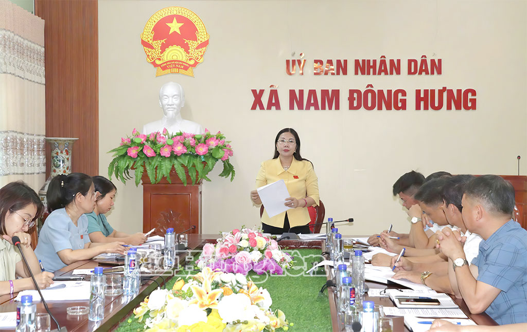 Đồng chí Trần Thị Tuyết Hương, Phó Chủ tịch HĐND tỉnh phát biểu tại buổi khảo sát.
