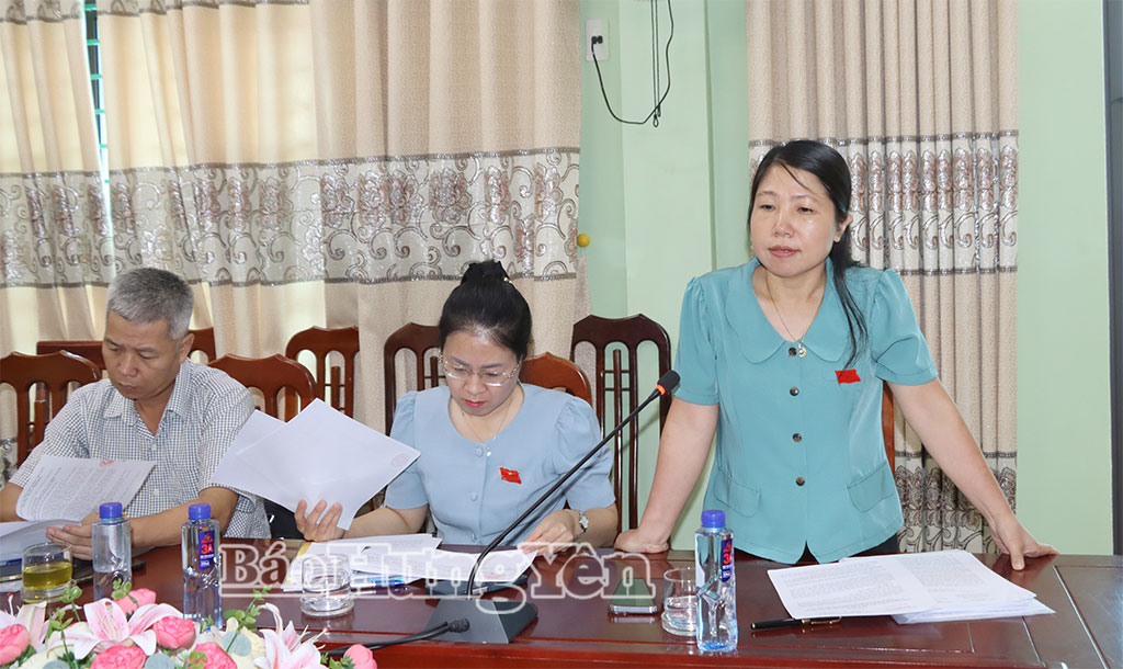 Đồng chí Trưởng ban Pháp chế, HĐND tỉnh phát biểu tại buổi khảo sát.