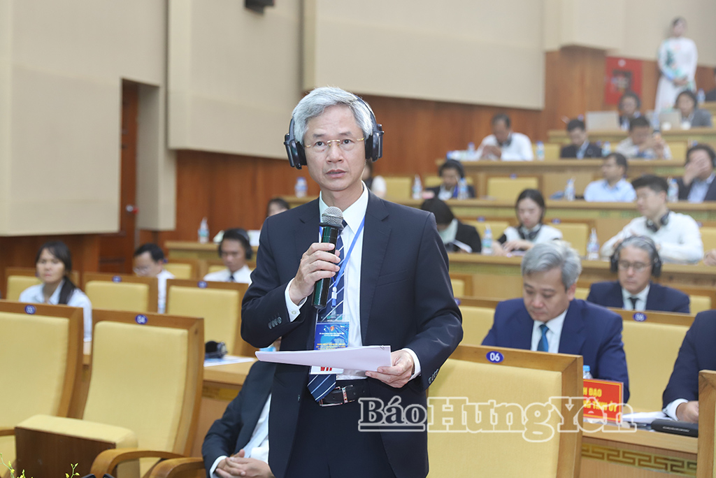 Đồng chí Đào Hồng Vận, Ủy viên Ban Thường vụ Tỉnh ủy, Giám đốc Sở Nội vụ trả lời ý kiến của doanh nghiệp Nhật Bản.