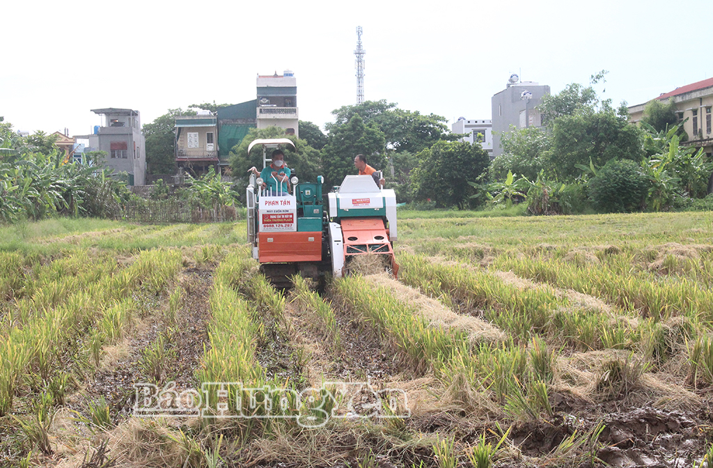 Cơ chế vận hành của máy cuốn rơm khá đơn giản, trung bình mỗi ngày cuốn được từ 200 - 400 cuộn rơm với trọng lượng khoảng 20kg/cuộn.