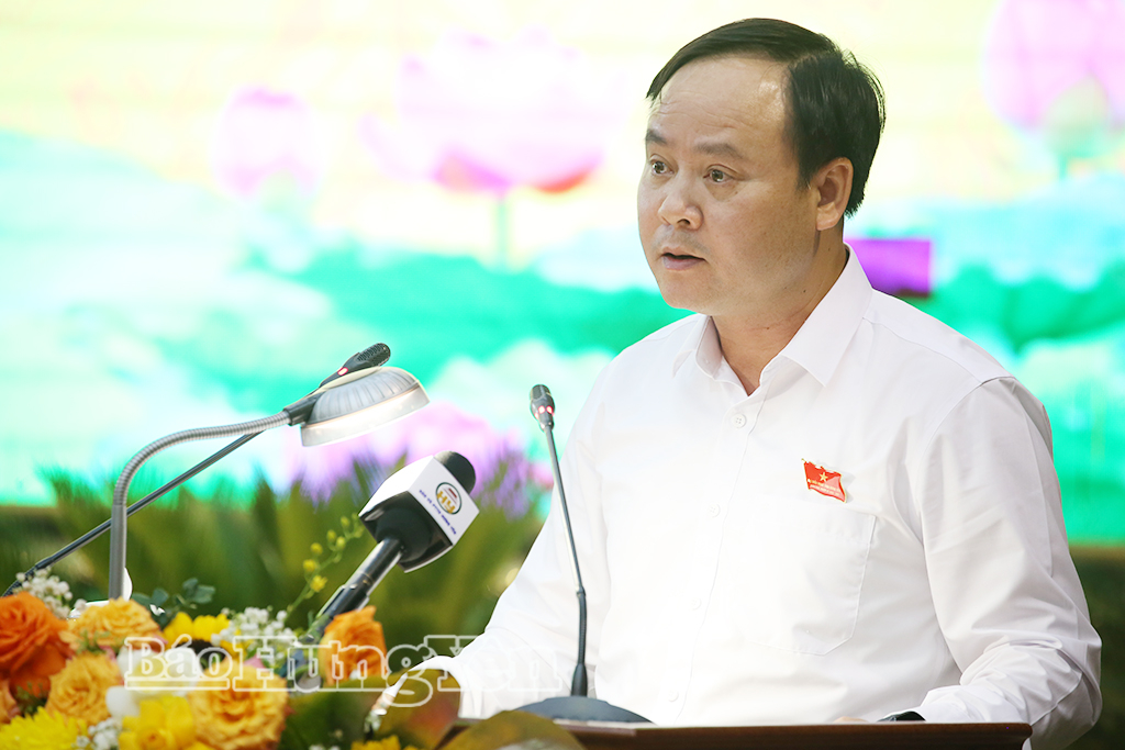 Lãnh đạo Ban Văn hóa - Xã hội HĐND tỉnh trình bày báo cáo thẩm tra tại kỳ họp.