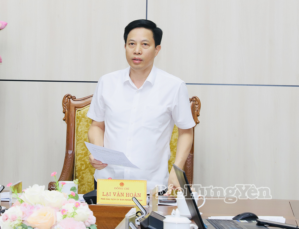 Đồng chí Lại Văn Hoàn, Phó Chủ tịch UBND tỉnh phát biểu tại cuộc họp.