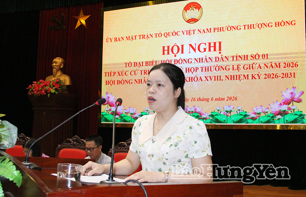 Cử tri phát biểu tại hội nghị.