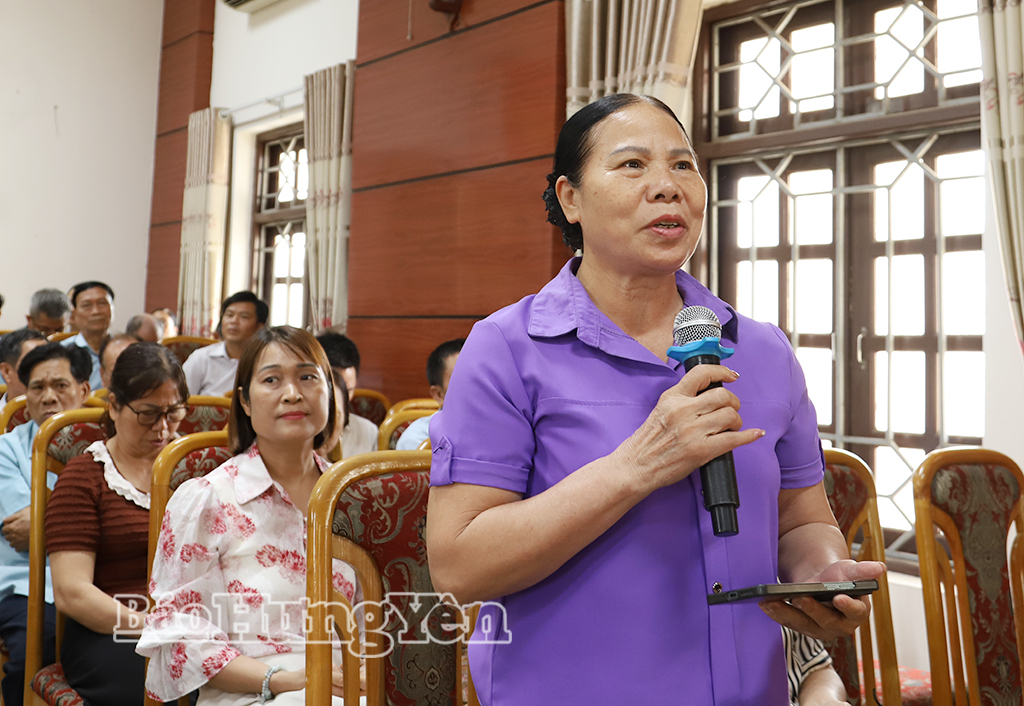 Cử tri phát biểu tại hội nghị.