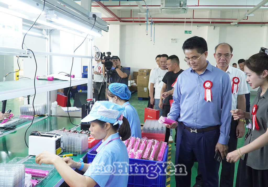 Đồng chí Lê Quang Hòa, Ủy viên Ban Thường vụ Tỉnh ủy, Phó Chủ tịch UBND tỉnh cùng đại biểu thăm dây chuyền sản xuất của Công ty TNHH Công nghệ LadyMerry Việt Nam.