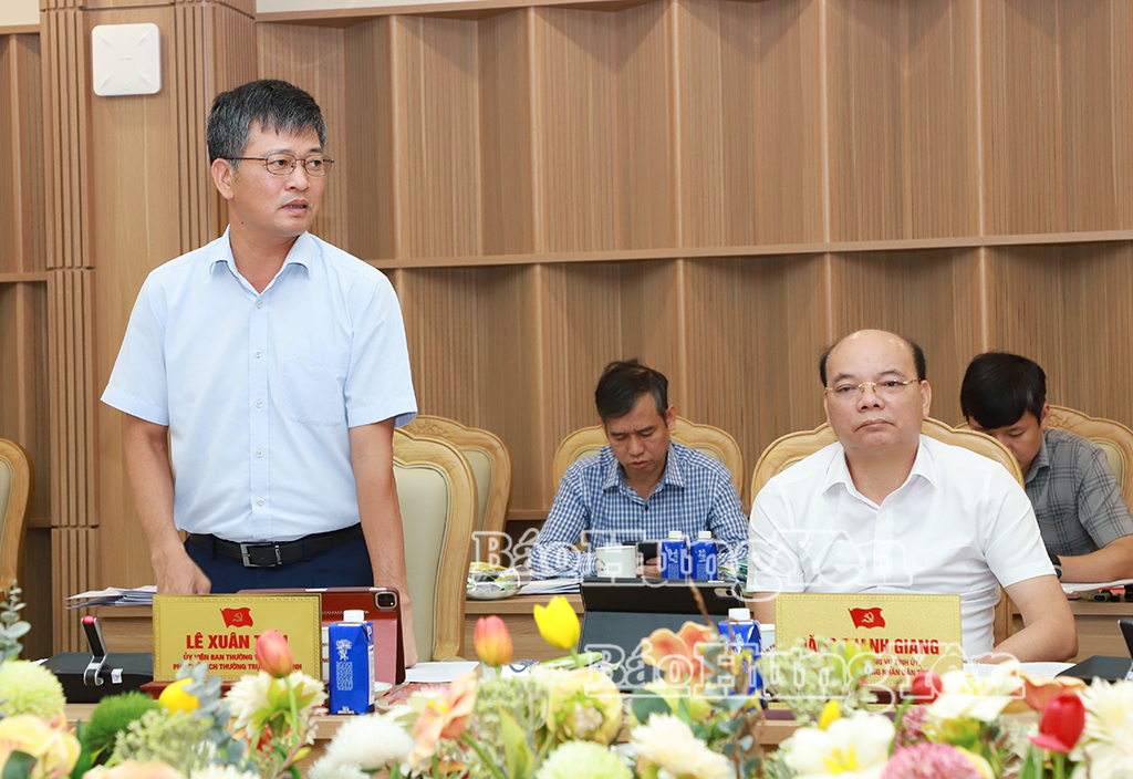 Đồng chí Lê Xuân Tiến, Ủy viên Ban Thường vụ Tỉnh ủy, Phó Chủ tịch Thường trực HĐND tỉnh phát biểu tại cuộc họp.