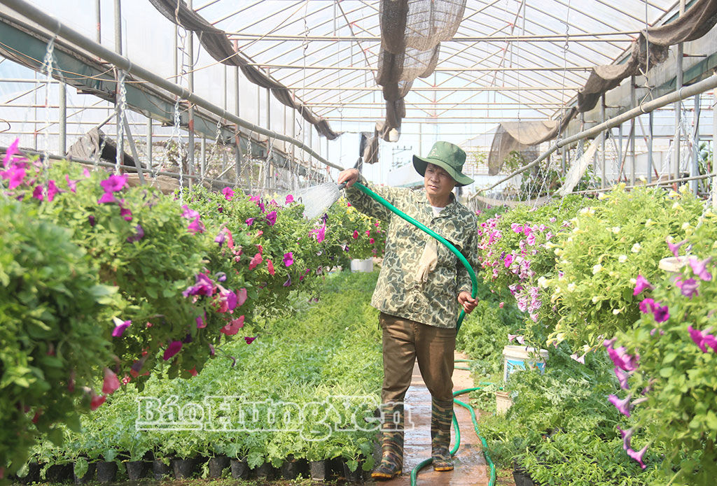 Dự thảo nghị quyết ban hành quy định về một số chính sách thực hiện cơ cấu lại ngành nông nghiệp tỉnh Hưng Yên dành nguồn lực lớn để khuyến khích phát triển nông nghiệp ứng dụng công nghệ cao, nông nghiệp tuần hoàn và hữu cơ. (ảnh minh họa)