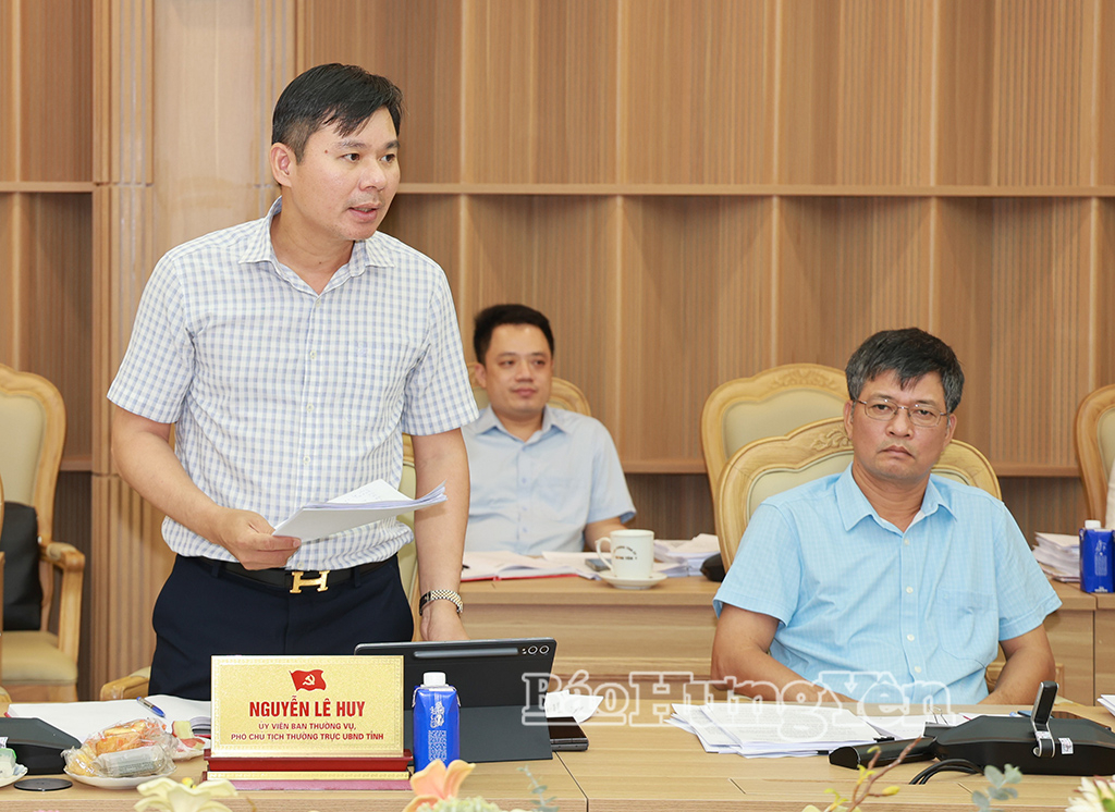 Đồng chí Nguyễn Lê Huy, Ủy viên Ban Thường vụ Tỉnh ủy, Phó Chủ tịch Thường trực UBND tỉnh phát biểu tại cuộc họp.
