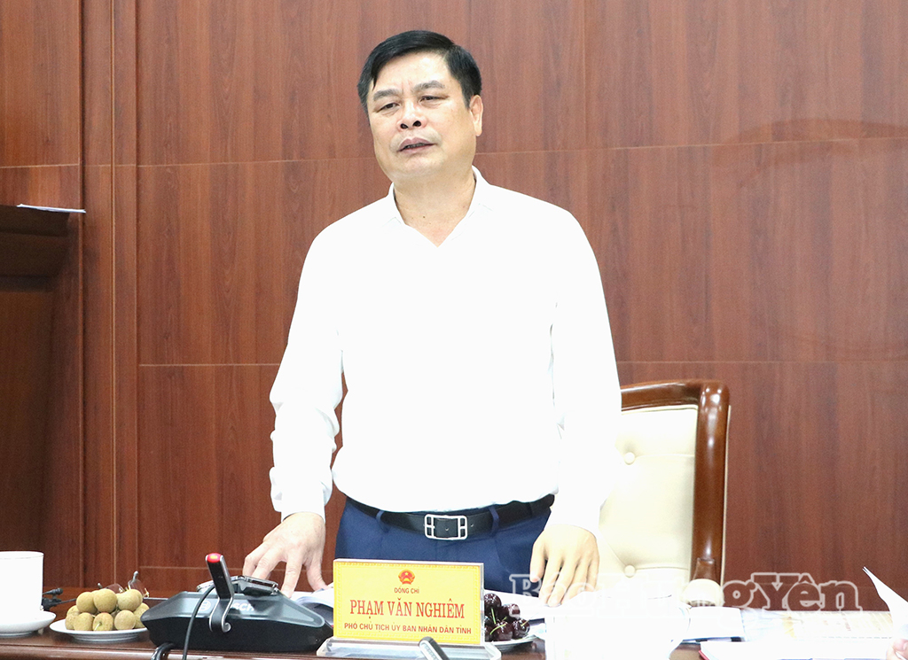 Đồng chí Phạm Văn Nghiêm, Phó Chủ tịch UBND tỉnh phát biểu kết luận cuộc họp.
