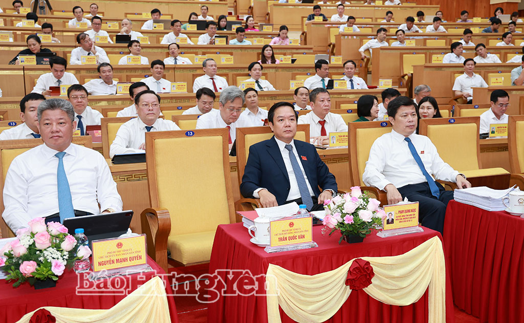 Các đồng chí: Phạm Quang Ngọc, Ủy viên Ban Chấp hành Trung ương Đảng, Bí thư Tỉnh ủy; Trần Quốc Toản, Phó Bí thư Thường trực Tỉnh ủy, Chủ tịch Ủy ban MTTQ Việt Nam; Nguyễn Mạnh Quyền, Phó Bí thư Tỉnh ủy, Chủ tịch UBND tỉnh cùng các đại biểu dự Kỳ họp.