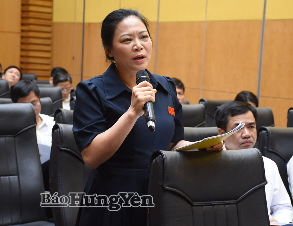Đại biểu Tổ số 3 phát biểu thảo luận.