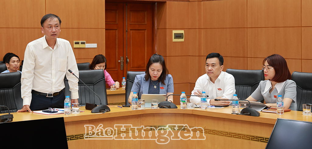 Đồng chí Nguyễn Hùng Nam, Phó Chủ tịch UBND tỉnh phát biểu thảo luận.